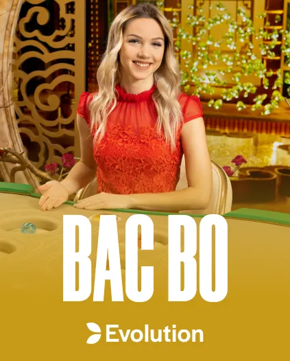 Rocky Casino Live Casino